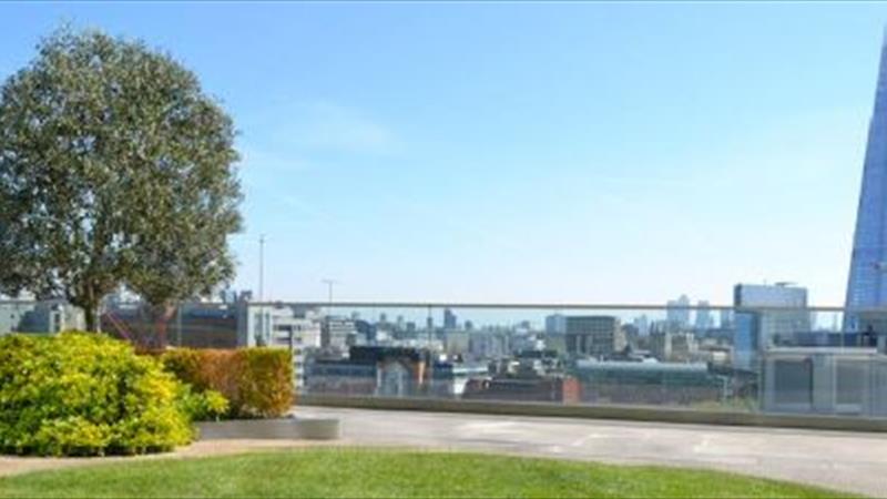 Roof Terrace