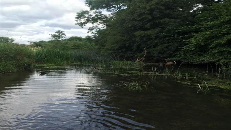 View of the River Loddon looking east from the property