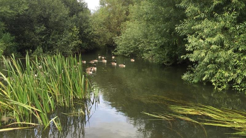 View of the River Loddon looking north from the property