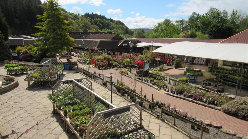 Cardwell Garden Centre