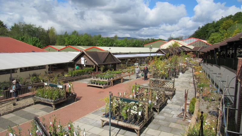 Cardwell Garden Centre