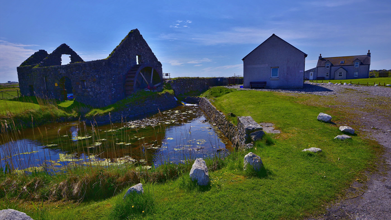 Hostel and Farmhouse