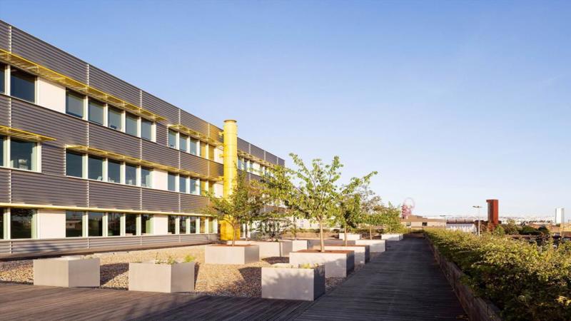 1st Floor Roof Terrace