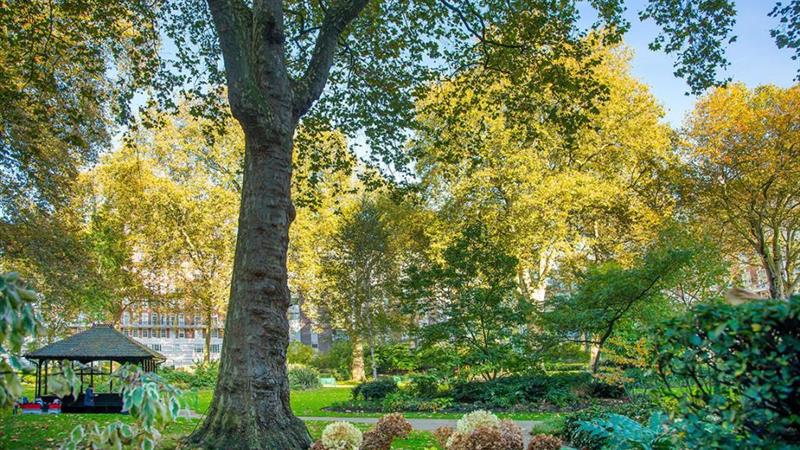 Portman Square Gardens