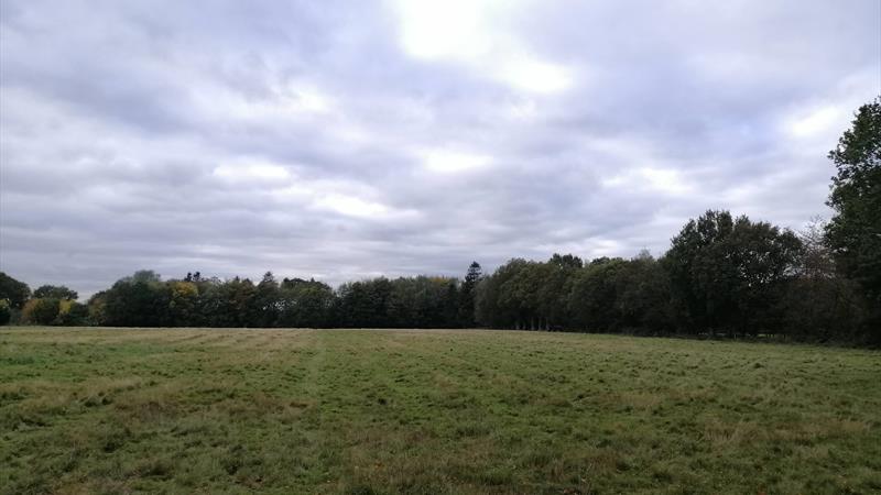 Field At Optrex Business Park