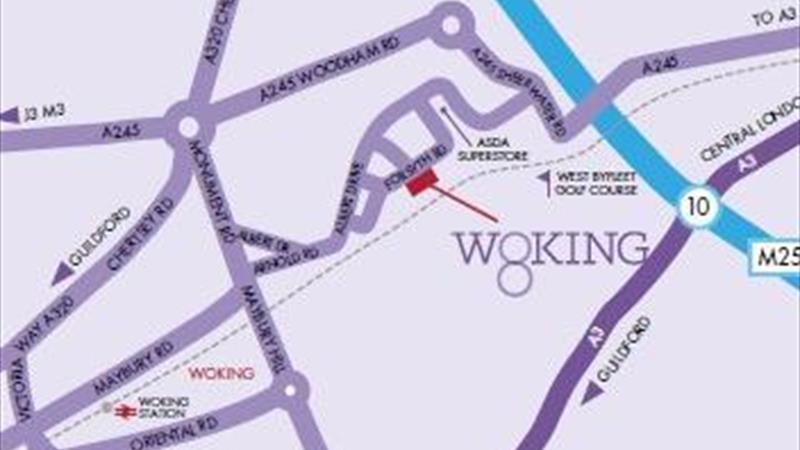 woking 8 map.jpg