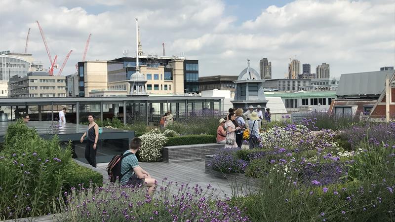 Roof Terrace - available for events only