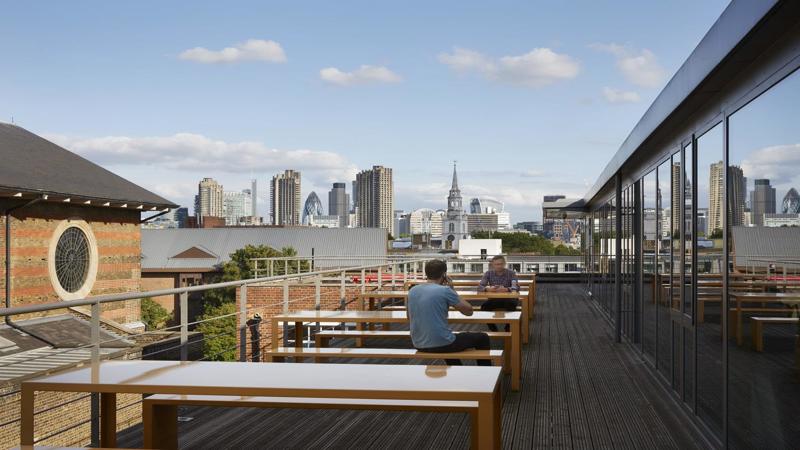 Roof terrace / Garden