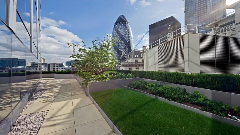 Roof terrace / Garden