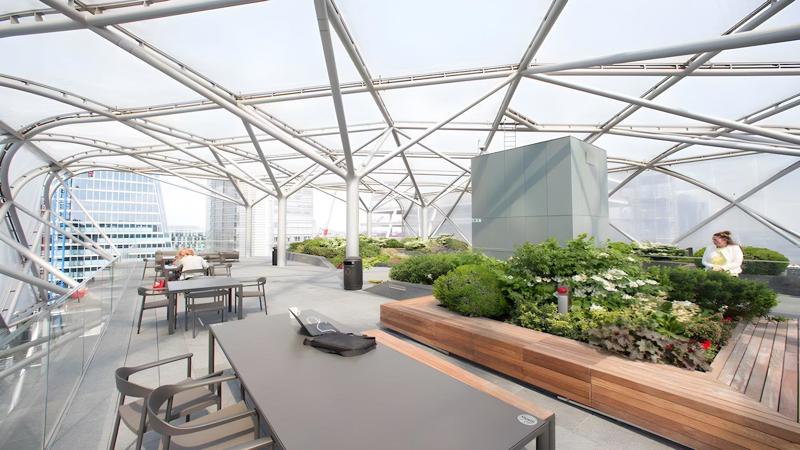 Roof terrace / Garden