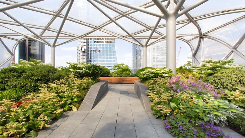 Roof terrace / Garden