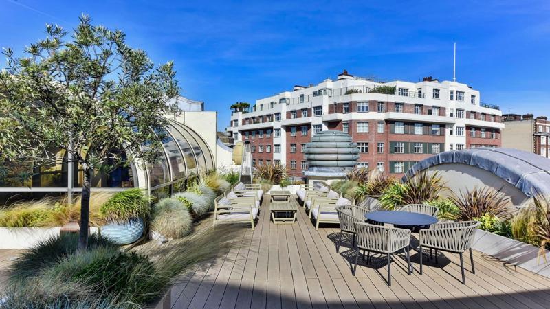 Roof terrace / Garden