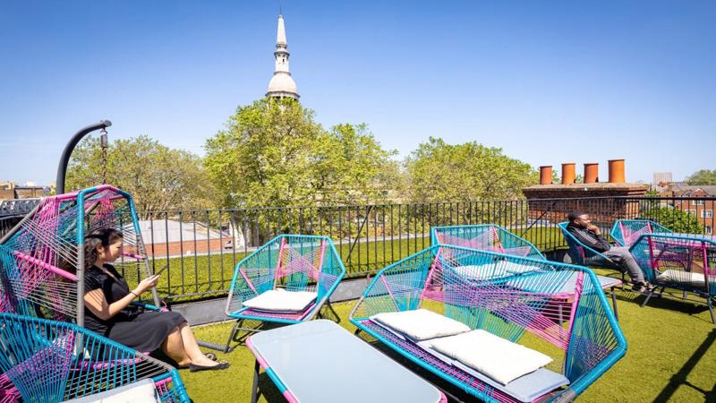 Roof terrace / Garden