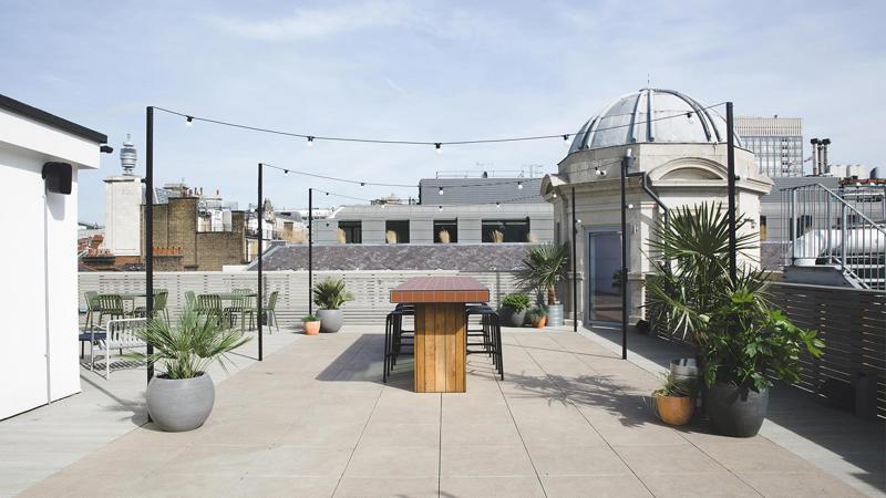 Roof terrace / Garden