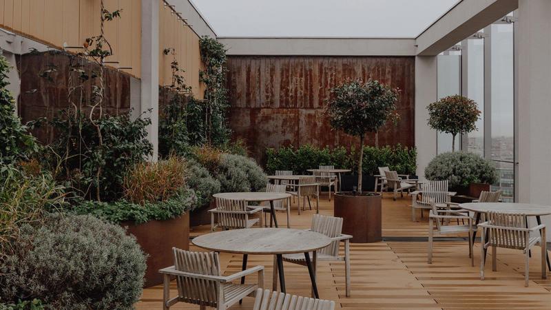 Roof terrace / Garden