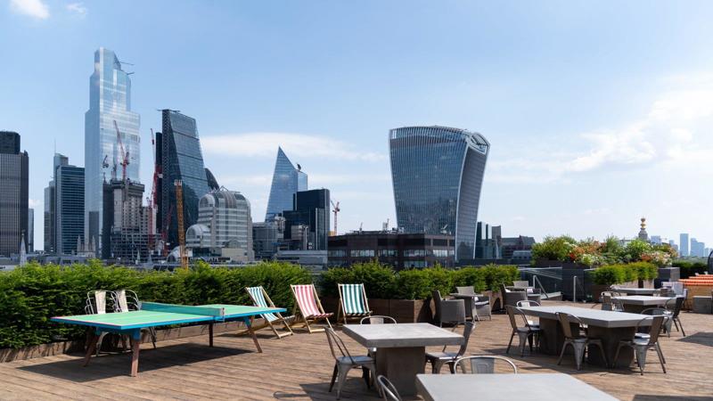 Roof terrace / Garden