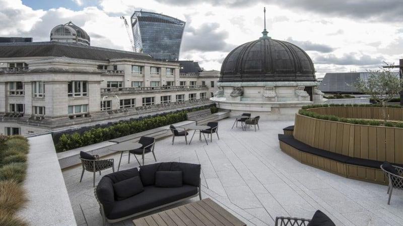 Roof terrace / Garden