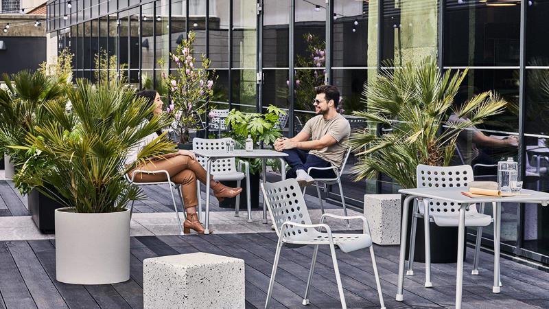 Roof terrace / Garden