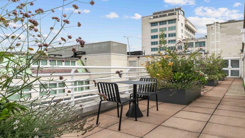 Roof terrace / Garden