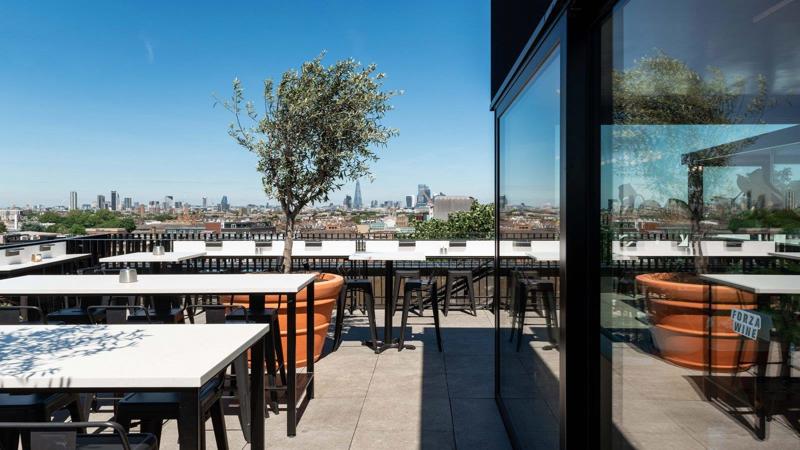 Roof terrace / Garden