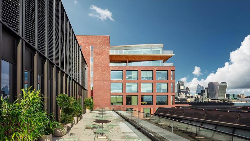 Roof terrace / Garden