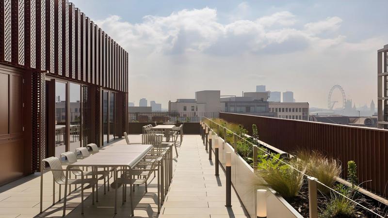 Roof terrace / Garden