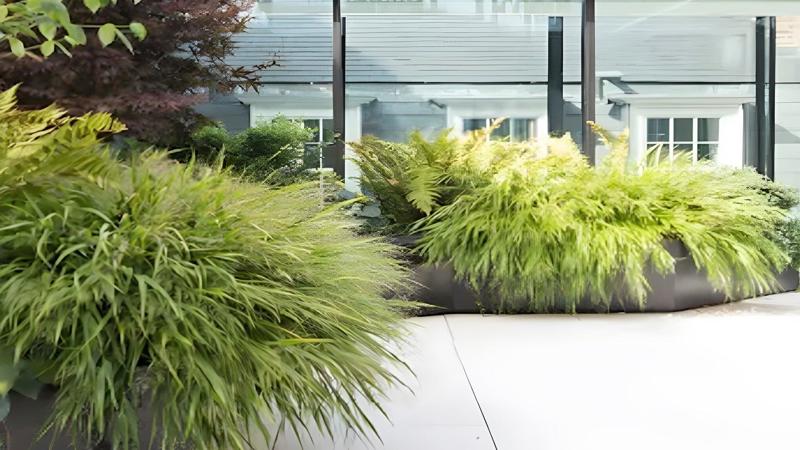 Roof terrace / Garden