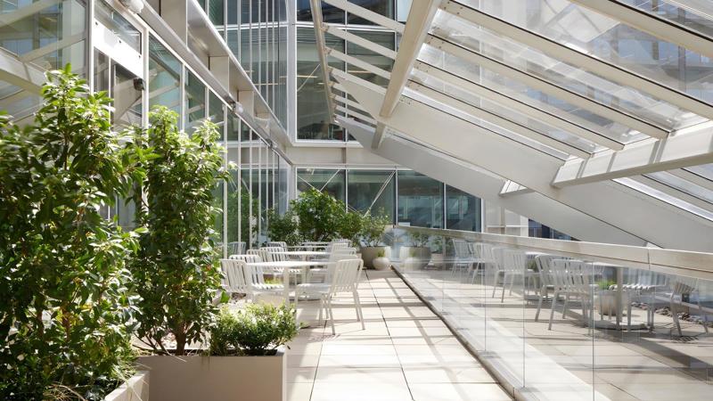 Roof terrace / Garden