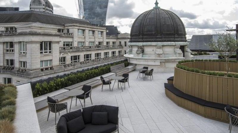 Roof terrace / garden