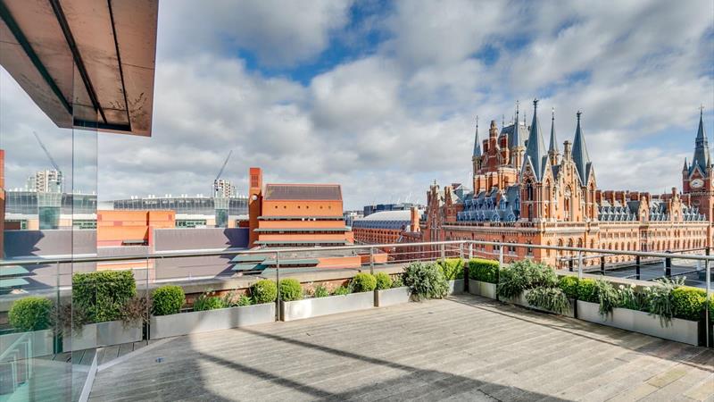 Roof terrace / garden